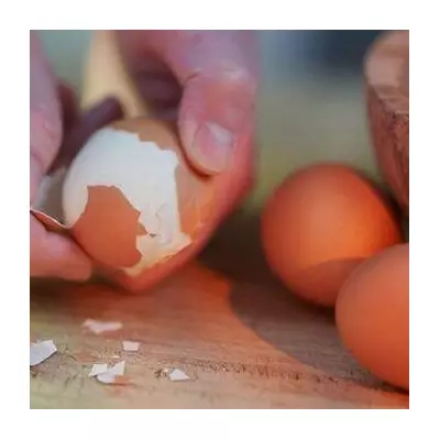 Egg Expert's One-Minute Hack Makes Peeling Boiled Eggs Effortless