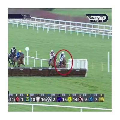 El Cairos' Leopardstown Mishap Sees Cheltenham Festival Odds Slashed