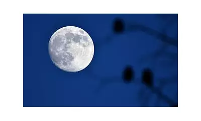 Final Supermoon of 2025 Lights Up UK Skies Tonight: How to See It