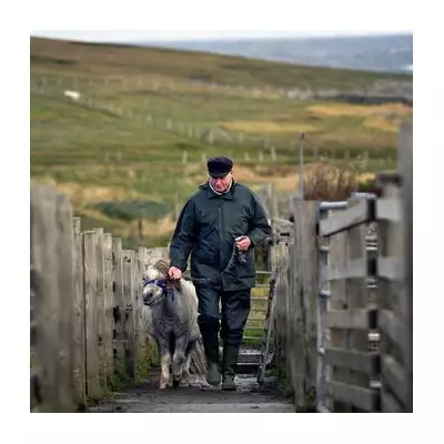 Foula Island's Unique Christmas: Celebrating on January 7 with 30 Residents