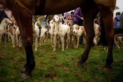 Government to Ban Trail Hunting Over 'Smokescreen' Fears