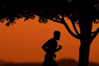 Health Experts for 2026: Ditch Fads, Embrace Simple Wellness Basics