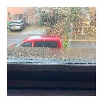 I Banished Window Condensation Overnight with One Simple Tool