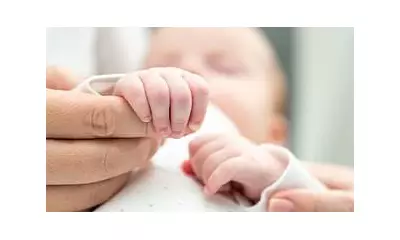 IVF Breakthrough: Shorter Abstinence Boosts Pregnancy Rates by 10%