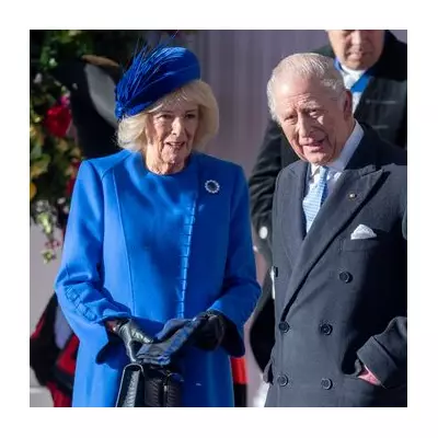 King Charles's Cancer Treatment Reduced After Early Diagnosis Success