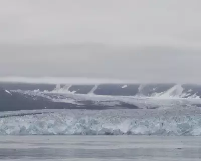 Magnitude 7.0 Earthquake Strikes Alaska-Canada Border, Triggers Tsunami Warning