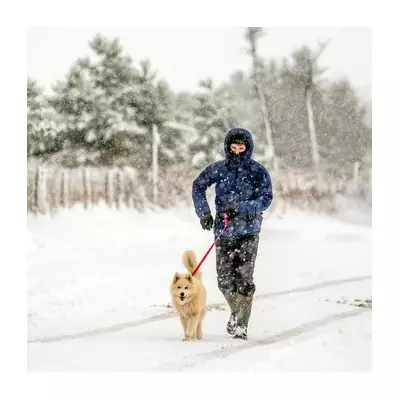 Met Office Christmas Forecast: Temperatures Plummet, Snow Flurries Possible