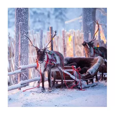 Met Office Christmas Forecast: White Christmas Odds 'Relatively Low' for 2025