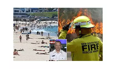 NSW and Tasmania Battle Bushfires Amid First Summer Heatwave
