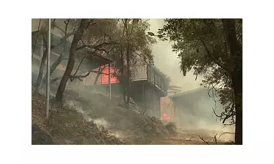 NSW Bushfire Emergency: Homes Destroyed as Fire Rages on Central Coast