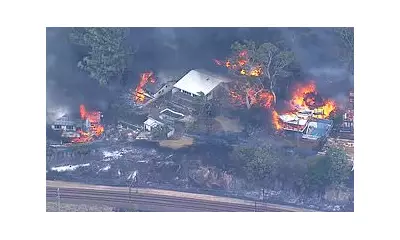 NSW Firefighter Killed by Falling Tree Amid Dozens of Bushfires