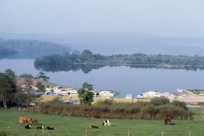 Quagga mussel invasion confirmed in Northern Ireland for first time