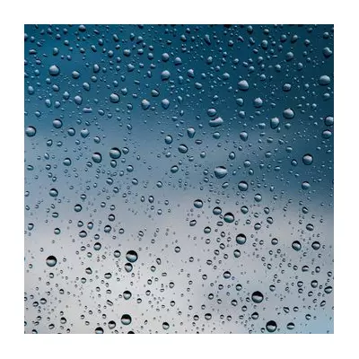 Royal Weather Secrets: The Group Hired for William and Harry's Weddings