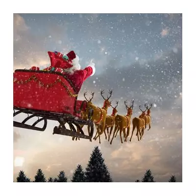 Santa's Reindeer Are All Female, Science Reveals in Festive Twist