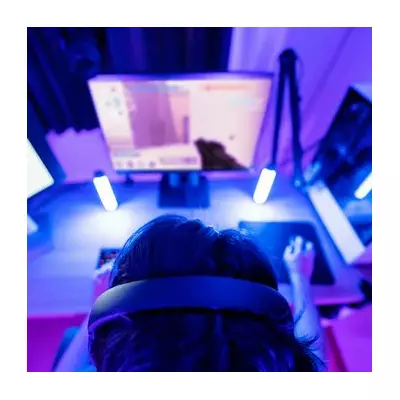 Streamer Completes All 3D Zelda Games 100% in 89-Hour No-Sleep Marathon