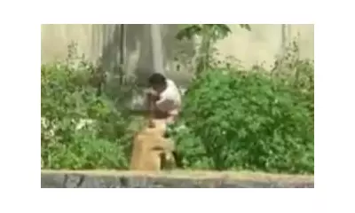 Teenager, 19, mauled to death by lioness after scaling zoo wall in Brazil