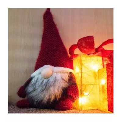 Test Your 20/20 Vision: Spot All Five Gnomes in This Festive Brainteaser