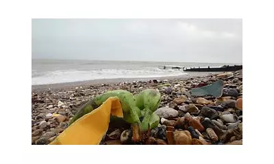 Thousands of Bananas Wash Ashore After Cargo Ship Loses 16 Containers Near Isle of Wight