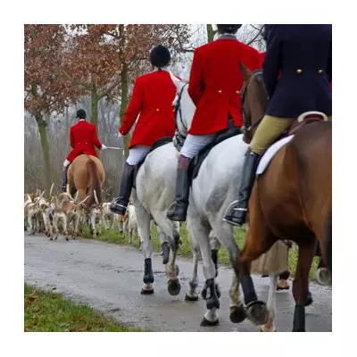 Trail Hunting Ban Looms: Government to Outlaw 'Smokescreen' for Fox Hunting