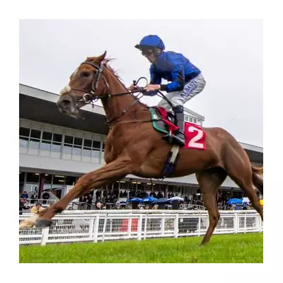 Trainer 'Lucky to Be Alive' After A1 Crash Kills Racehorse Calypso Breeze