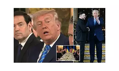 Trump's Mar-a-Lago Lunch Offer to Press Amid Ukraine Peace Talks