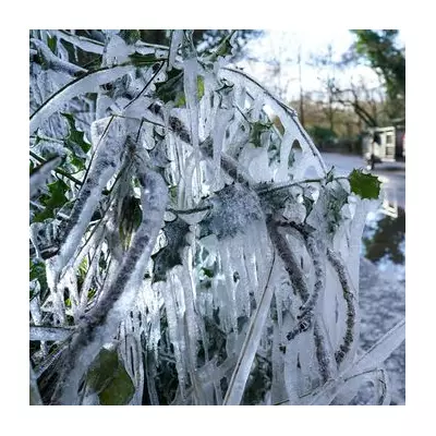 UK Braces for -6C Arctic Blast on New Year's Eve as 16 Cities Face Deep Freeze