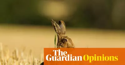 UK Government Unveils New Animal Welfare Strategy: Hares and Farm Animals Protected
