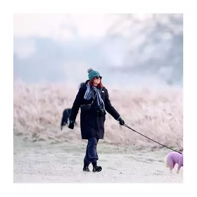 UK Weather: Temperatures to Plummet 9 Degrees Overnight, Frost and Rain Warnings Issued