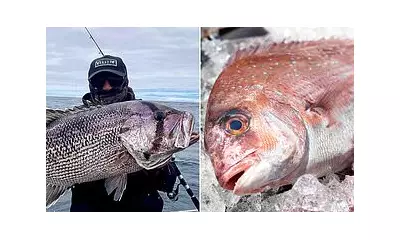 WA Fishing Bans to Send Seafood Prices Soaring from December 16