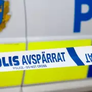 12-Year-Old 'Child Assassin' Detained in Sweden After Botched £20k Hit