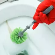 3 Experts Reveal the Overnight Natural Toilet Limescale Remedy