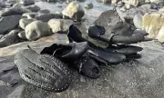 450 Leather Shoes from 150-Year-Old Shipwreck Wash Up on Welsh Beach