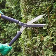 6 Garden Projects to Earn Extra Cash Before Christmas