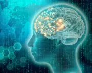 AI Control Crisis: Experts Warn Humanity Must Act Before It's Too Late