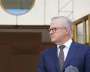 Albanese Launches Largest Gun Buyback Since Port Arthur After Bondi Attack