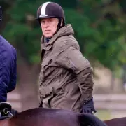 Andrew Mountbatten-Windsor's Gun Licence Revoked in Police Visit