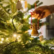 Angel Tree Backlash: Woman Criticised for Calling Kids 'Greedy' Over iPhone Requests