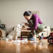 Animal Expert Reveals Why Dogs Love Toilet Rolls: Prey Drive & Pica