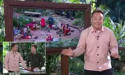 Ant McPartlin's 'Shut Up!' Broccoli Rant Sparks Chaos on I'm A Celebrity