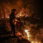 Australia Declares Disaster Status as 91 Bushfires Ravage New South Wales