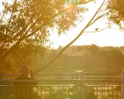 Australia's Christmas Weather Extremes: Heatwaves and Snow Flurries Forecast