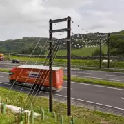 Bat Bridges Mystery Solved: UK Drivers Discover Purpose of Motorway Wires