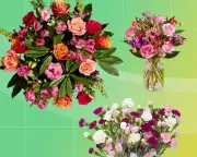 Best UK Flower Delivery Services for 2025: Expert Reviews & Top Picks
