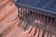 Bird-Proofing Solar Panels: UK Costs, Benefits & Is It Worth It?