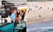 Bondi Beach Terror Attack: 15 Killed at Hanukkah Celebration