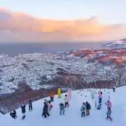 Boy, 5, dies in tragic ski travelator accident at Japanese resort