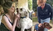 Brigitte Bardot Dies at 91: Final Posts Show Animal Activism & Legacy