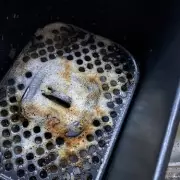 Burnt-On Air Fryer Grease Removed in 5 Minutes With One 'Magic' Product