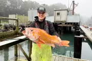 California Fisherman Lands Potential World Record 10.25-Pound Canary Rockfish