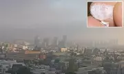 California's 'Radiation Fog' Blanket Sparks Health Fears Across 400-Mile Stretch